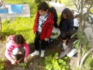 Jardin-pedagogique-MS-CP